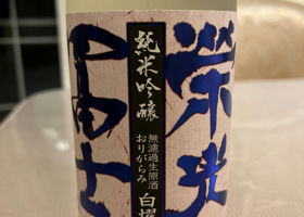 alt 1