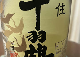 alt 1