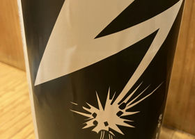 alt 1