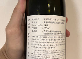 alt 3