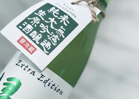alt 3