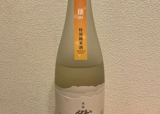 alt 1