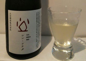 alt 4