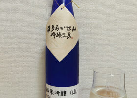 alt 1