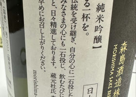alt 3