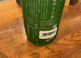 alt 2