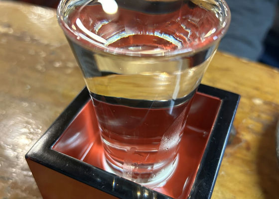alt 1