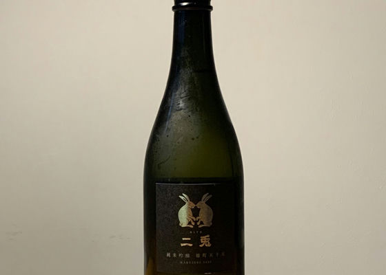 alt 1