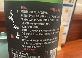 よこやま チェックイン 2