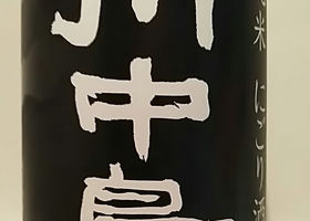 alt 1