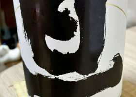 alt 1