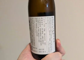 alt 3