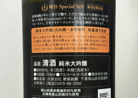 alt 3