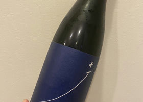 alt 1