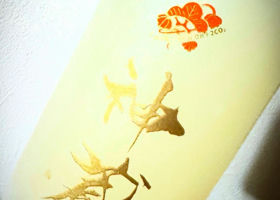 alt 1
