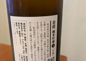 alt 3