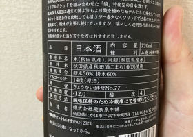 alt 3