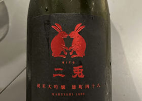 alt 1