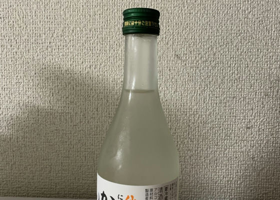 alt 1