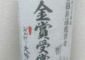 alt 1