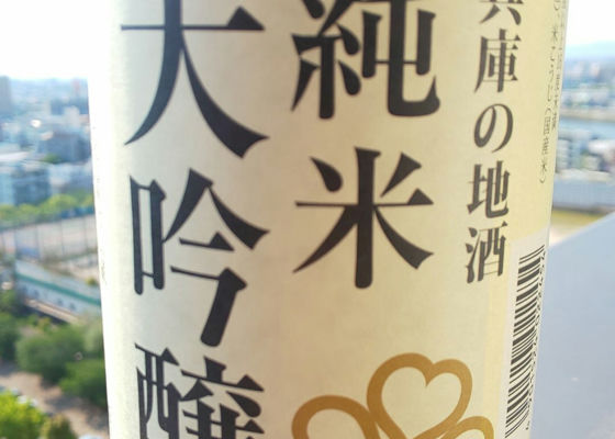 alt 1