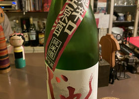 alt 1