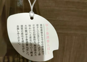alt 2