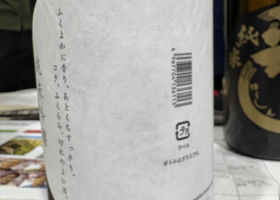 alt 3