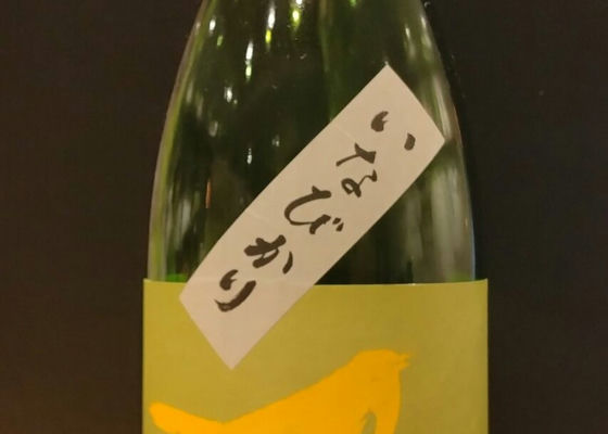 alt 1