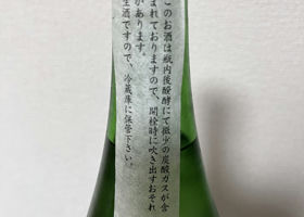 alt 3