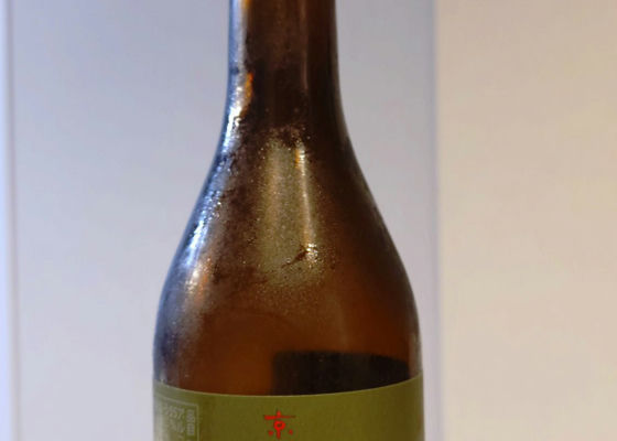 alt 1