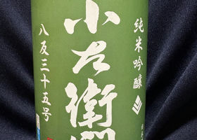 alt 1