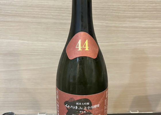 alt 1