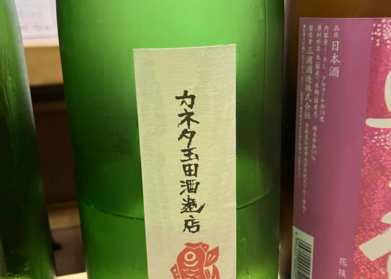 alt 1