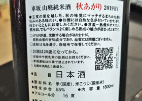 alt 3