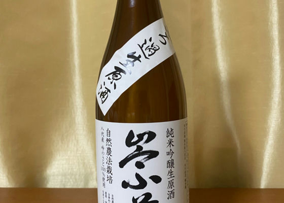alt 1