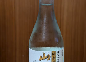 alt 3