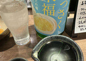 alt 1