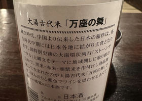 alt 3