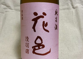 alt 1