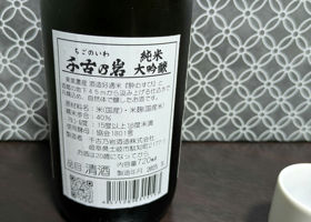 alt 2