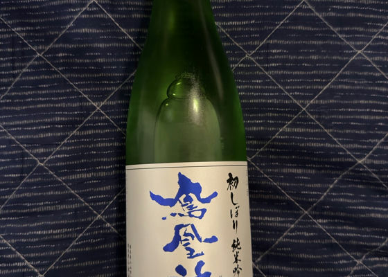 alt 1