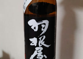 alt 1