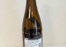 alt 1
