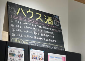 alt 3