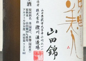 alt 3