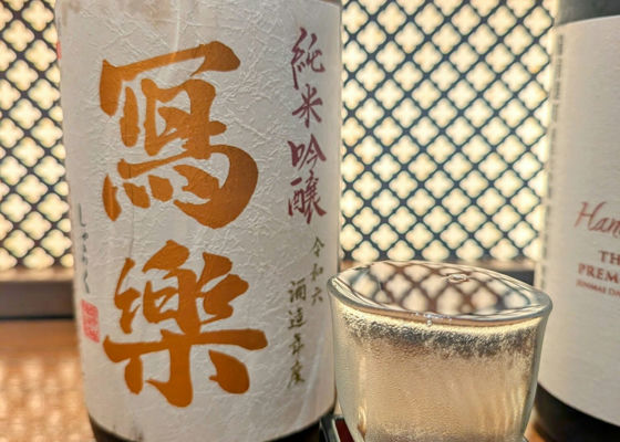 alt 1