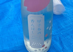 alt 1