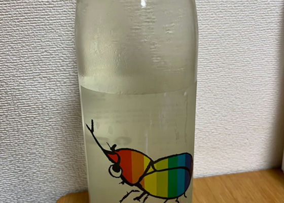 alt 1