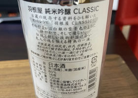 alt 3